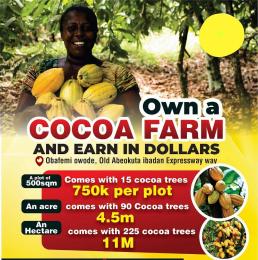 Land for sale Obafemi Owode Ogun