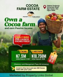 Land for sale Cocoa Farm Estate For Sale In Ago Iwoye Ogun State” Close To Oou Main Campus, Ago Iwoye * Along Oou Road, Ago Iwoye * Near Olabisi Onabanjo University, Ogun State * Oou Main Campus, Ago Iwoye, Ogun State Ijebu North Ogun