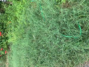 Land for sale Muheez Banire Street Lekki Scheme 2 Ajah Lagos