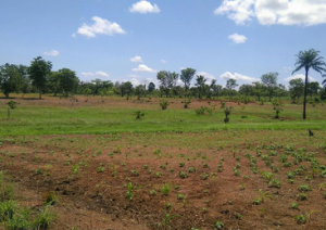 Land for sale Gudu Close To Ibeto Hotel Jabi Abuja