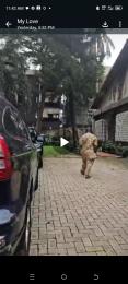 Commercial Property for sale Location..lkeja Gra Isaac John Street Isaac John Street Ikeja Lagos