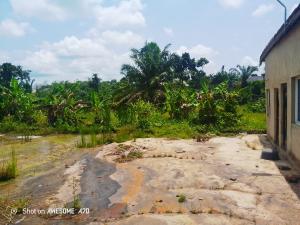 Commercial Property for sale Ibadan South - West Oyo