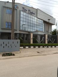 Commercial Property for sale Adeola Hopewell Victoria Island Lagos