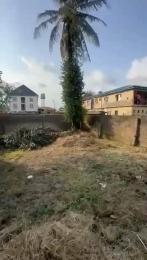 Land for sale Odunbanwo Street New oko oba Abule Egba Lagos