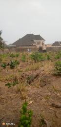 1 bedroom Land for sale Oloko Alago Along Bembo Road Apata Ibadan Oyo