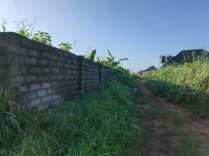 Land for sale Amakabo Avenue By White House Avu Owerri Imo