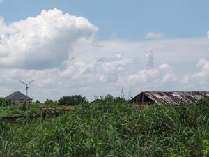 Land for sale Amakabo Avenue By Missionary School Owerri Imo