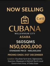 Land for sale Okpanam Along Benin–onitsha Expressway Close To Wichtech Junction Asaba Delta