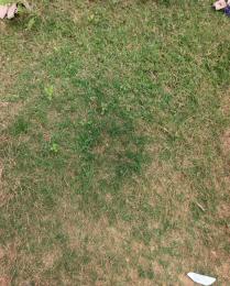 3 bedroom Land for sale Pyakasa Lugbe Abuja