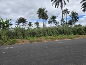 Land for sale Most Affordable Land Facing The Express In Ajebo Obafemi Owode Ogun