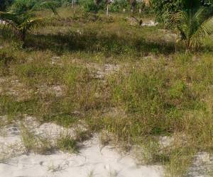 Land for sale Seme Badagry Badagry Badagry Lagos