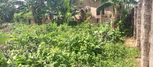 Land for sale Behind Nipco Filling Station Eyaen Benin City Uhunmwonde Edo