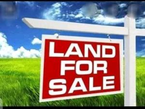 Land for sale Bucknor Isolo Lagos