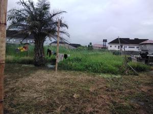 Land for sale Keffi Street, S.w Ikoyi Lagos