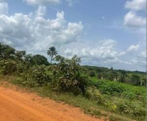 Land for sale Okeho Abeokuta Ogun