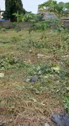 Land for sale Owode, Langbassa Ajah Lagos