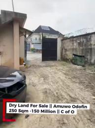 Land for sale Tarred Road Amuwo Odofin Amuwo Odofin Lagos