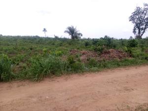 Land for sale Wonderland Estate Located In Iloti,few Minutes From Epe Tollgate Ijebu Ode Ogun