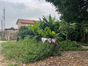 Land for sale Adegbose Estate Olu Odo , Ebute Igbogbo Road Ikorodu Lagos Ebute Ikorodu Lagos