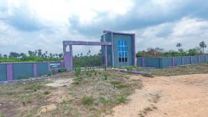 Land for sale Aviance Golden Annex Close To Military Barracks Near Igbonla Model College And Yaba Tech Epe Campus Epe Road Epe Lagos