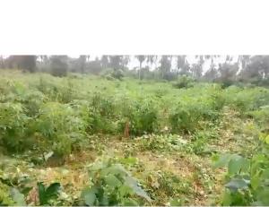 Land for sale Ipara Road Via Ogere Ajebo Obafemi Owode Ogun