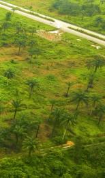 Land for sale Along Port Harcourt/sunshine City Estate/umuagwo Community Owerri Imo