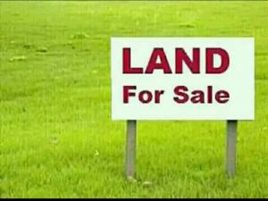Land for sale Back Of Shoprite Sangotedo Ajah Lagos