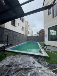 1 bedroom Flat / Apartment for rent The Property Located Within A Good Neighborhood Ikate Lekki Lagos