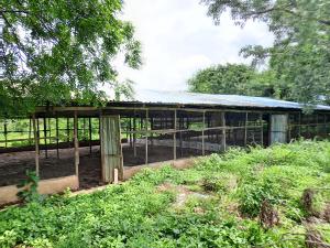 Commercial Property for rent Omi Adio Ibadan Oyo