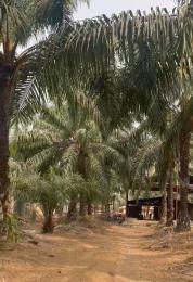 Commercial Property for sale Palmrich Phase 5 Iwo Rd Ibadan Oyo