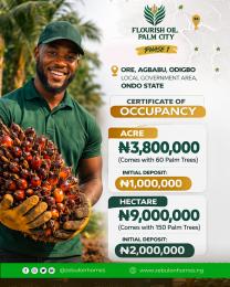 Land for sale Flourish Oil Palm City Phase 1 Located At Ore Agbabu Odigbo Ondo