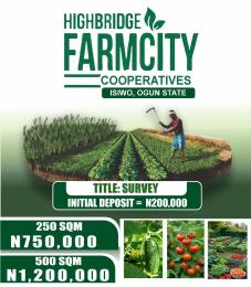 Land for sale Isiwo Ijebu Ode Ogun