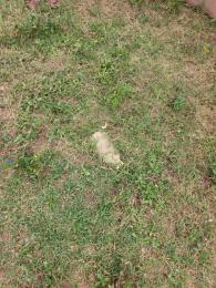 Land for sale Durumi Abuja