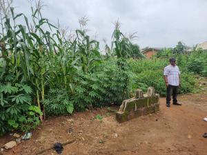 3 bedroom Land for sale Ladegboye Ijede Ikorodu Lagos