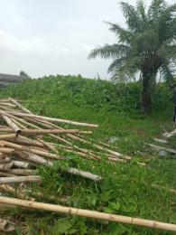 Land for sale Off Asanjo Street, Sangotedo Ajah Lagos