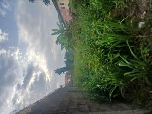 Land for sale In A Lovely Neighborhood At Dokun Ogundipe, Maryland Ikeja Lagos Anthony Village Maryland Lagos