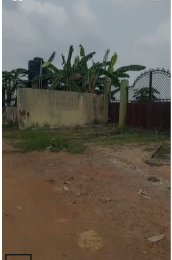 Land for sale Free Trade Zone Ibeju-Lekki Lagos