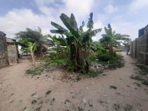 Land for sale Goodnews Sangotedo Ajah Lagos