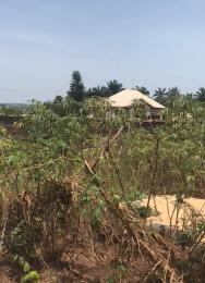 Land for sale Iyaba Umudim Nnewi North Anambra