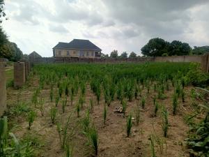 Land for sale Omololu Oluloyo Gra Ring Rd Ibadan Oyo