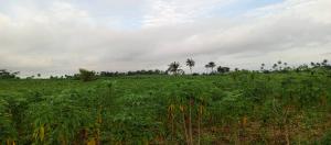 Land for sale Green Wealth City Farm Ijebu Ode Ogun