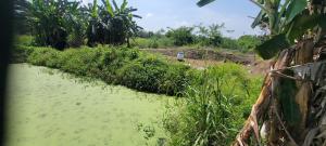 Commercial Property for sale Omi Adio Apata Ibadan Oyo