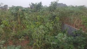 Land for sale Ofeiyi Umudiawa Community Umuahia North Umuahia North Abia