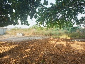 Land for sale Mojisola Onikoyi Estate Ikoyi Lagos