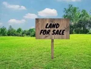 Land for sale Omole phase 1 Ojodu Lagos