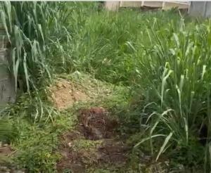 Land for sale OGBA GRA Ogba Lagos