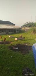 Land for sale Omotayo Street Ogudu-Orike Ogudu Lagos