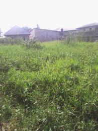 Land for sale Ifako-gbagada Gbagada Lagos