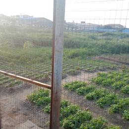 Land for sale Ogudu Gra Phase2 Ogudu GRA Ogudu Lagos