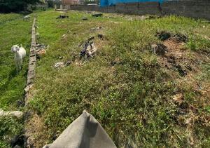 Land for sale Berger Ojodu Lagos